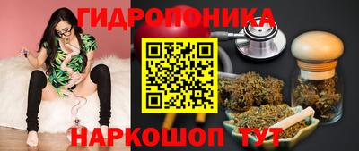 мяу мяу мука Гусь-Хрустальный