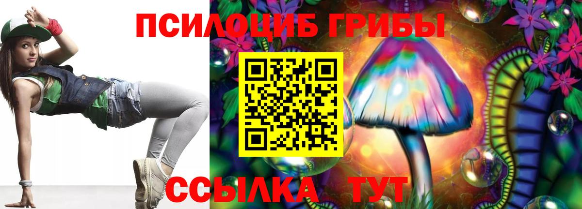 Галлюциногенные грибы Magic Shrooms  Вход с VPN  Моздок  Псилоцибиновые грибы ЛСД 